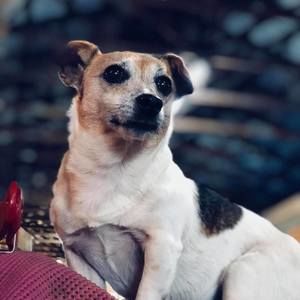 Meet your Posher, Darlene